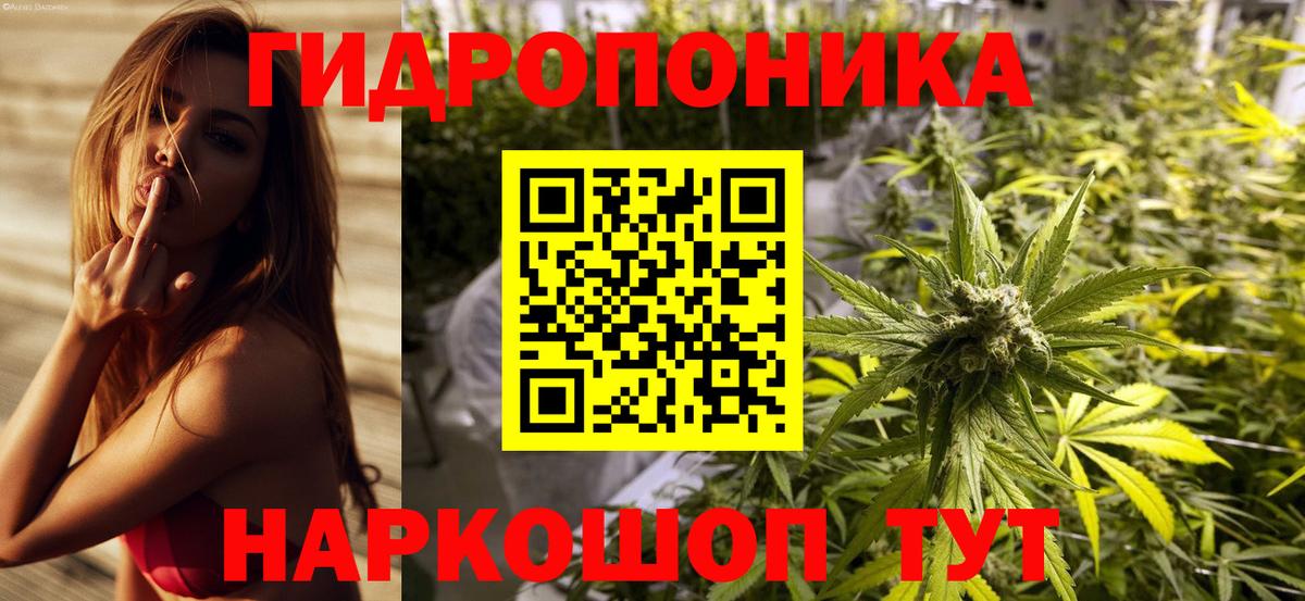 Конопля Amnesia  Вход с VPN  Осинники  Каннабис Bruce Banner  Бошки марихуана индика 